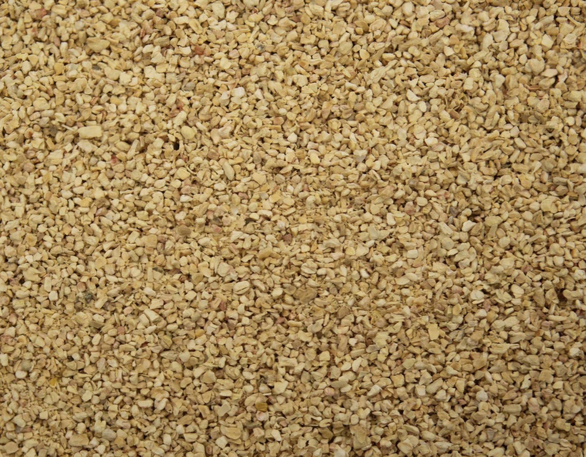 Corn